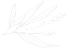 section-title